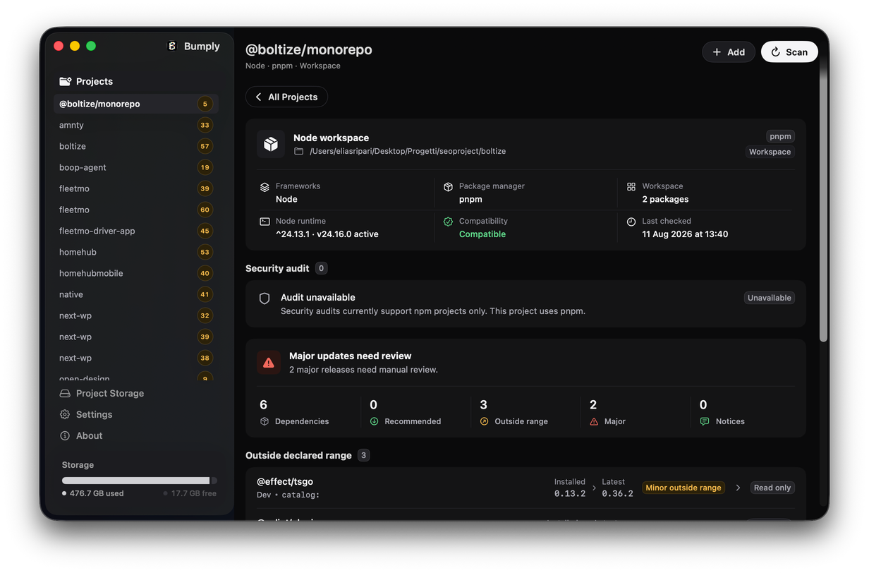 Bumply showing a pnpm workspace: package manager, Node runtime, compatibility status, and a security audit panel