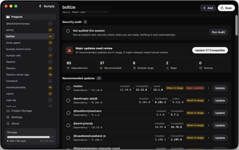 Bumply’s project view: a security audit that has not run yet, saying nothing is sent automatically, above a list of recommended updates marked minor or patch in range