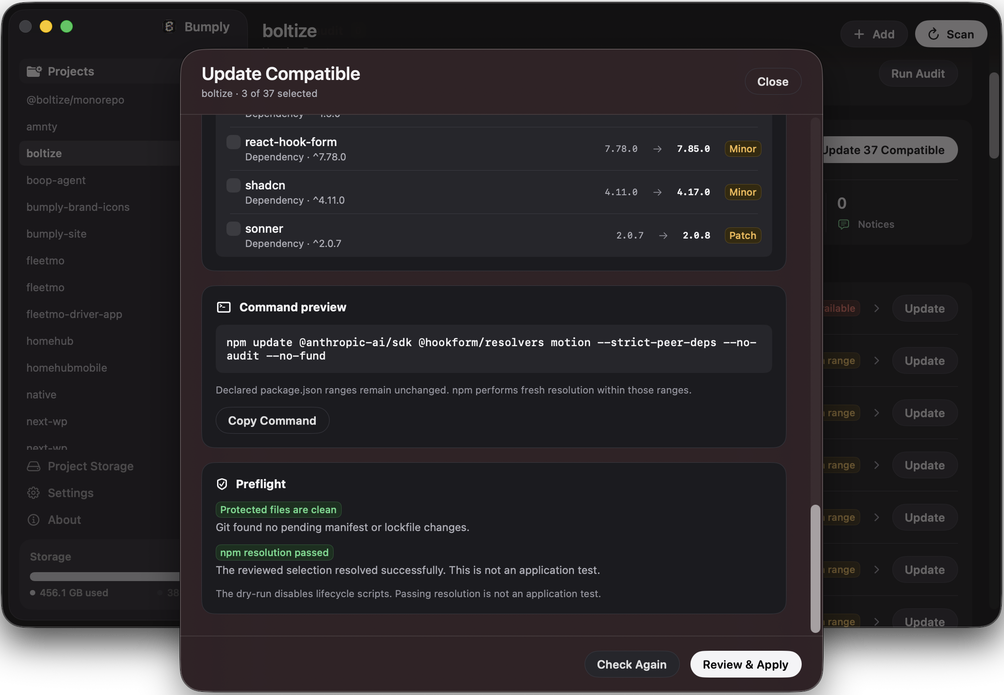 Bumply’s update confirmation: the npm command in full, and a preflight reporting that the protected files are clean and git has no pending manifest or lockfile changes